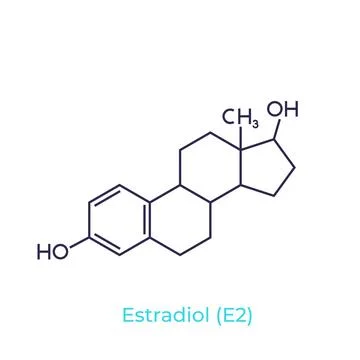 Estradiol molecule on white, vector Stock Illustration