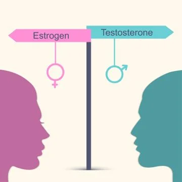 Estrogen and testosterone concept Stock-Illustration
