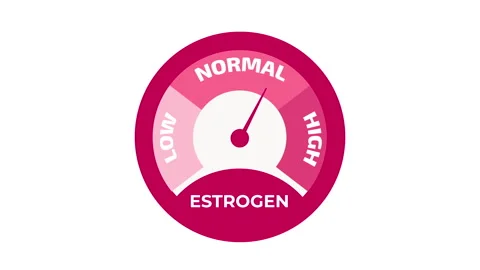 Estrogen level meter animation with rising and falling hormone levels, estr.. Vídeo Stock 347886864