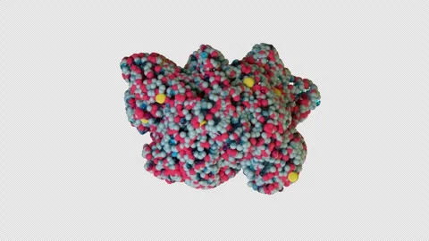 Estrogen Receptor 3D CGI Animation – Molecular Structure Endless Rotation Vídeo Stock 346224341