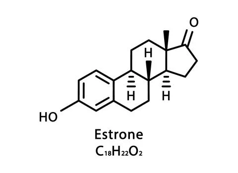 Estrone molecular structure. Estrone skeletal chemical formula. Chemical Stock Illustration