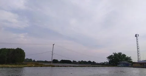 An estuary in the area of West Java Indonesia with mangrove tree Stock Photos