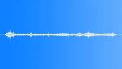 Estuary Atmosphere Distant CallsSound Effect