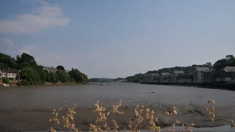 Estuary Mudflats Truro A Continuous Sequence Pt1 of 21 Stock Footage 240650591