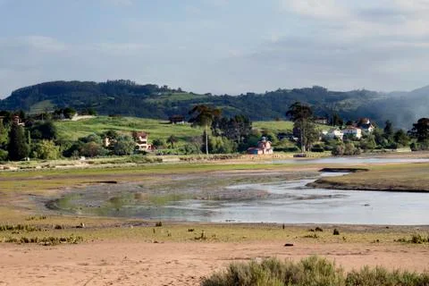 Estuary Stock Photos