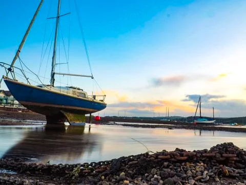 Estuary Stock Photos