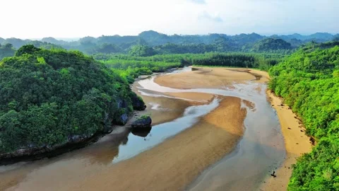 Estuary rivers are drying up Video stock 274724190