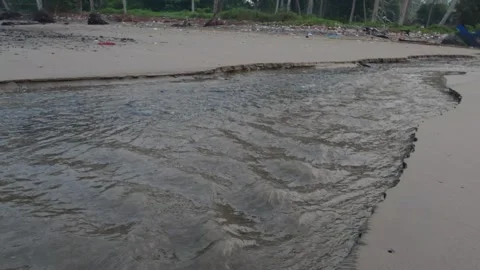 Estuary water stream flowing through sandy beach. Stock Footage 337773960