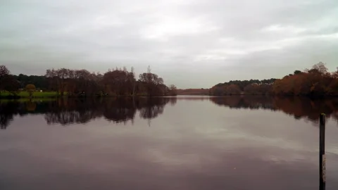 Etang Noir Stock Footage 170002143