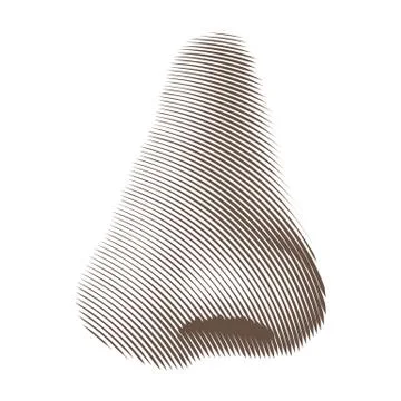 Etched Nose Stock-Illustration