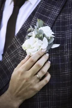 Eternal Elegance Stock Photos