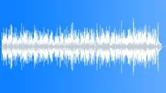Eternal Fire (Country/Blues Instrumental) Stock Music