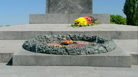 Eternal flame closeup with flowers, Unknown Soldier Memorial in Kiev, Ukraine. Stock Footage 91106525