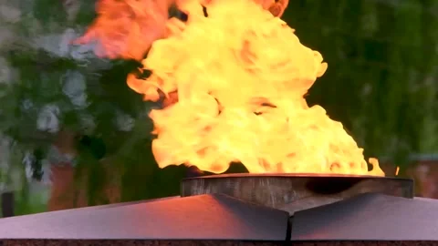 Eternal Flame at the grave of the unknown soldier Stock-Footage 239930780