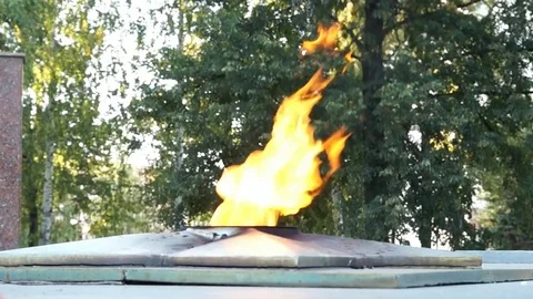 Eternal flame. Memory fire. Stock Footage 81012784