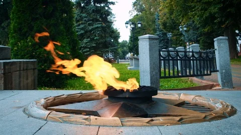 Eternal flame, the memory of the heroes of the Second World War Stock Footage 118225089