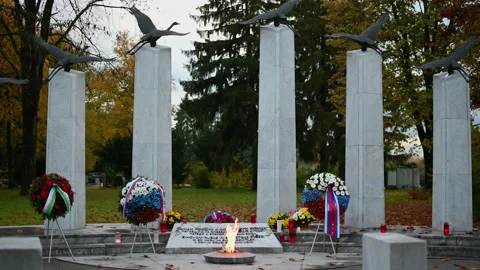 Eternal flame from the monument in honor of fallen soldiers Stock Footage 183018647