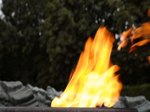 Eternal flame open flame Stock Footage 113932190