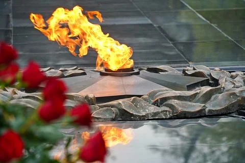 Eternal flame. Stock Photos