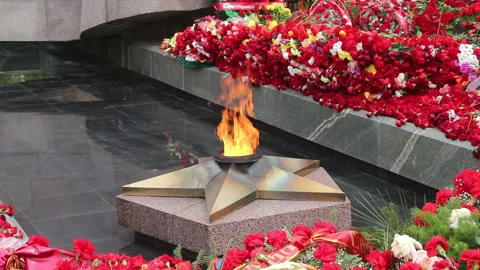 Eternal flame, surrounded by flowers in memory of the Victory in the Great Pa Stock Footage 88728065