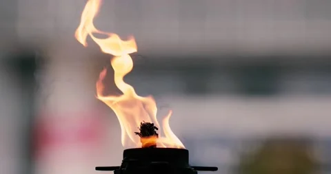 Eternal flame at a war memorial Stock Footage 142943135