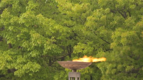 Eternal flame on the wind Stock Footage 111767415