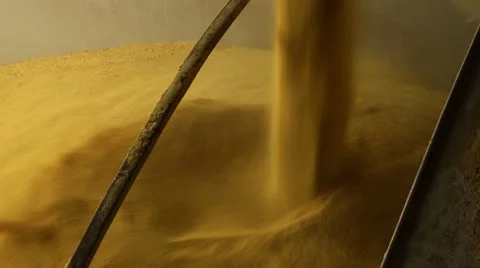 Ethanol Vídeo Stock 22216580
