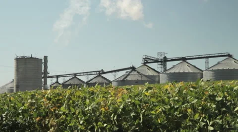 Ethanol Production Plant and Corn Field Stock Footage