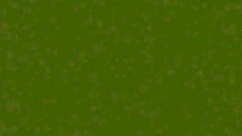 Ethereal abstract burnt orange smoke particles background loop Stock Footage 336540174