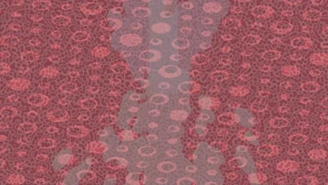 Ethereal Animated Pattern Professional Presentation Stock Footage 328673724