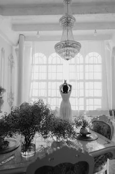 Ethereal Elegance Stock Photos