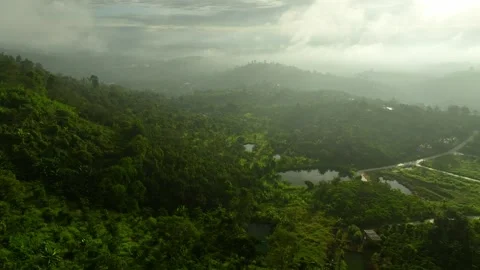 Ethereal Elevation: Discovering Cloud-Covered Mountains in 4K Above the Jungle Stock Footage 244474193