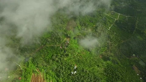 Ethereal Expedition: Capturing the Magic of 4K Mountain Clouds in the Jungle Stock Footage 244475667