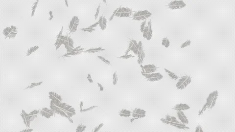 Ethereal Feather Blast Transparent Alpha Effect Stock Footage 313660549