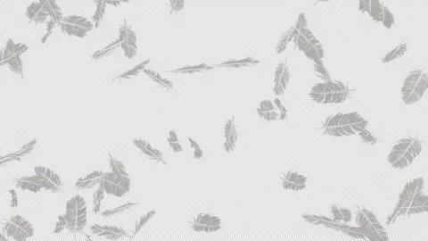 Ethereal Feather Blast Transparent Alpha Effect Stock Footage 313660583