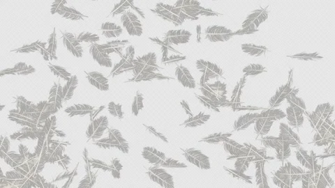 Ethereal Feather Blast Transparent Alpha Effect Stock Footage 313660800