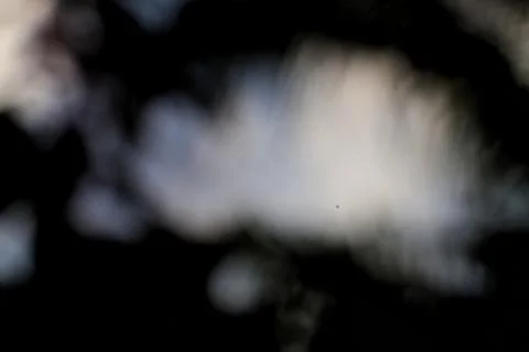 Ethereal light breaking through the void, revealing dreamy soft textures of.. Stock Photos