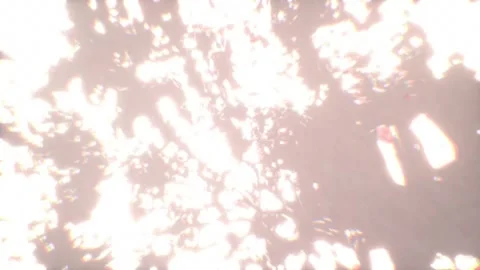 Ethereal Light Reflection Stock Footage 305459258