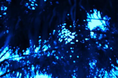 Ethereal Midnight Bloom A Deep Dive into the Realm of Luminous Blue Nature Stock Photos