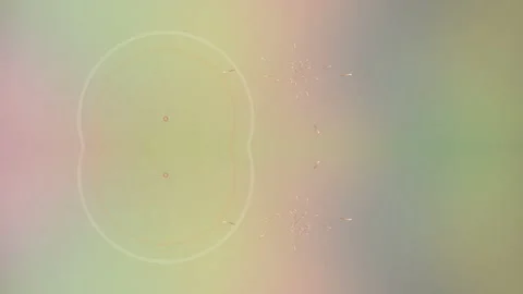 Ethereal Pastel Abstract Background with Soft Particle Streaks Stock Footage 334863243