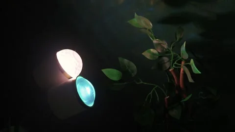Ethereal plants floating in dark space with colorful lens effects, Atmospheric Stock Footage 321119242