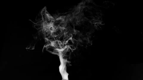 Ethereal Smoke Forms Against a Deep Black Background with Abstract Patterns Stock Footage 341780924