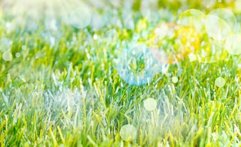 Ethereal spring background Stock Photos