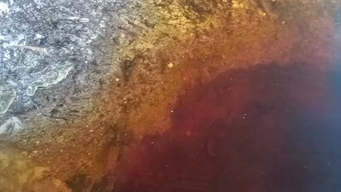 Ethereal Streams Video stock 264079405