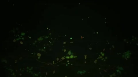 Ethereal Style Green Floating Particles with Subtle Vine Structures Stock Footage 330163488