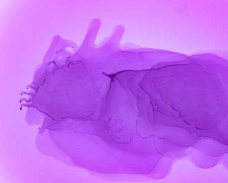 Ethereal Water Pattern. Liquid Ink Wave Stock Illustration