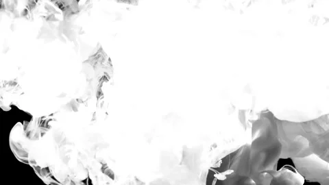 Ethereal White Smoke Clouds Create Dreamy Abstract Patterns on Black Backgrou Stock Footage 341780312