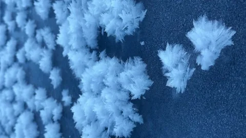 Ethereal Winter Ice Flowers Texture Background Stock Footage 334725495
