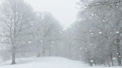 Ethereal winter landscape with falling snow Stock Footage