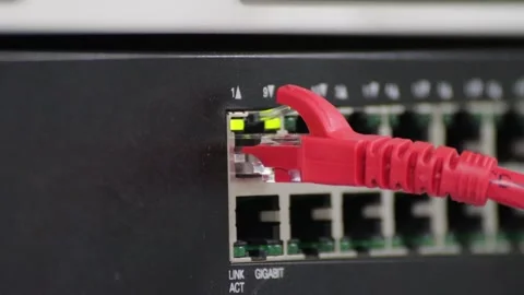 Ethernet cable connected to a gigabit network switch Stock Footage 326576579